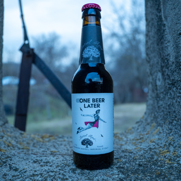 Imperial Stout Bourbon - 330 mL - One Beer Later