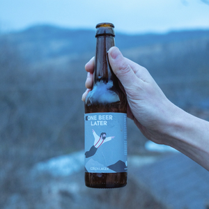 Czech Lager - 330 mL - One Beer Later