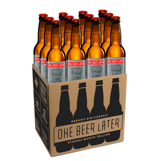 Czech Lager 330 mL x 12