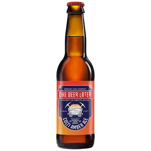 Colti Amber Ale 330 mL - One Beer Later
