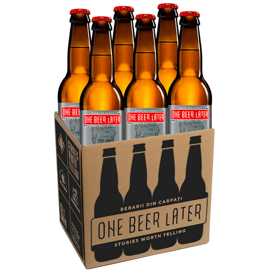 Czech Lager 330 mL x 6